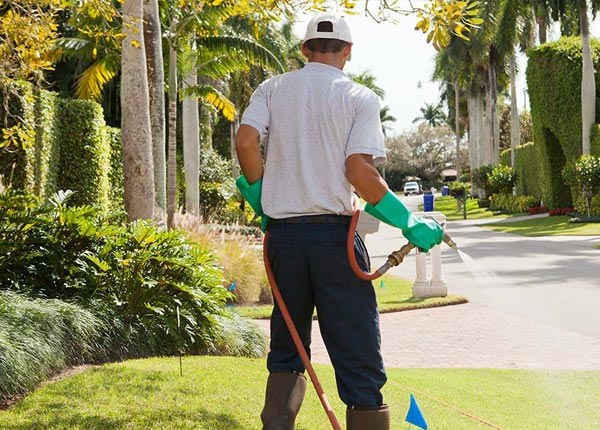 About Lake Winola PA Pest Control
